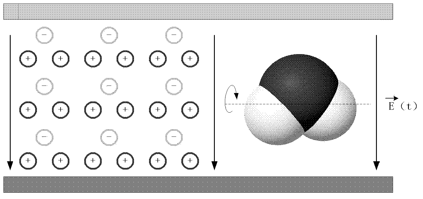 Device and method for supercritical drying of microwave excitation