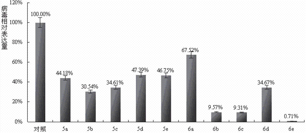 Method for establishing transgenic cell line of target genes shRNA (short hairpin ribonucleic acid) interfering propagation of porcine reproductive and respiratory syndrome viruses