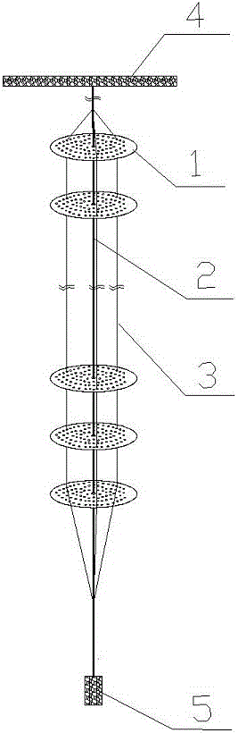 Ear-puncturing and hanging cultivation device for patinopecten yessoensis and hanging cultivation method
