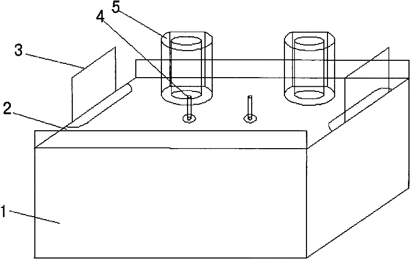 Detecting device and detection method of ion transmembrane migration number tracking