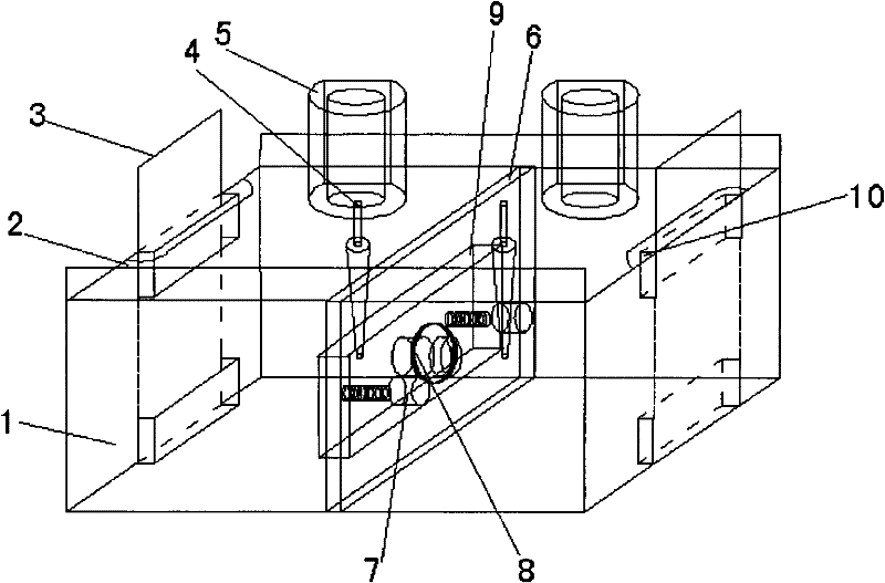 Detecting device and detection method of ion transmembrane migration number tracking