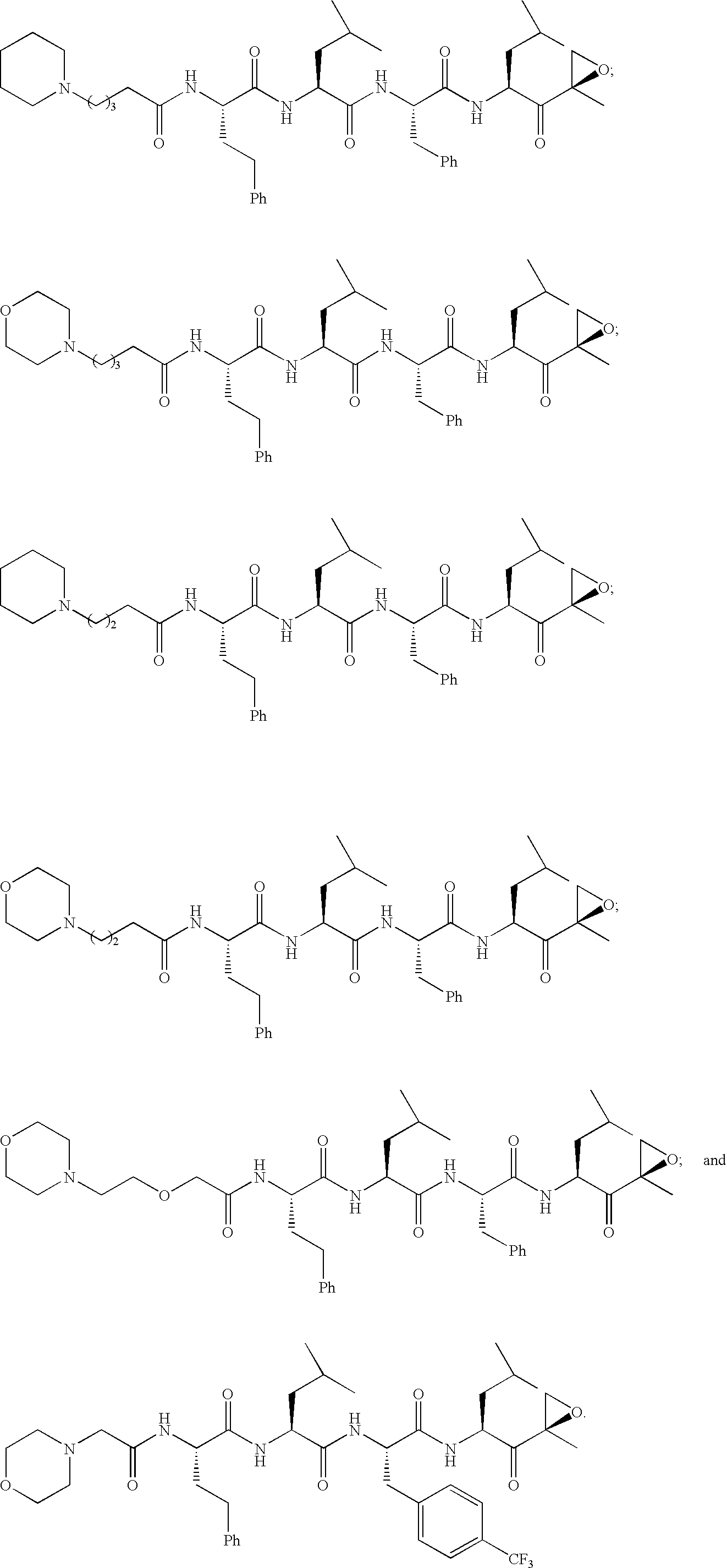 Compounds for proteasome enzyme inhibition