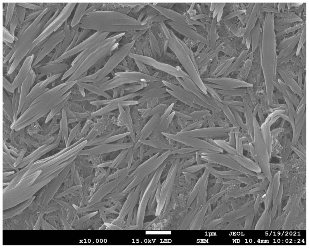 Perylene diimide-based sensor material and preparation method and application of sensor