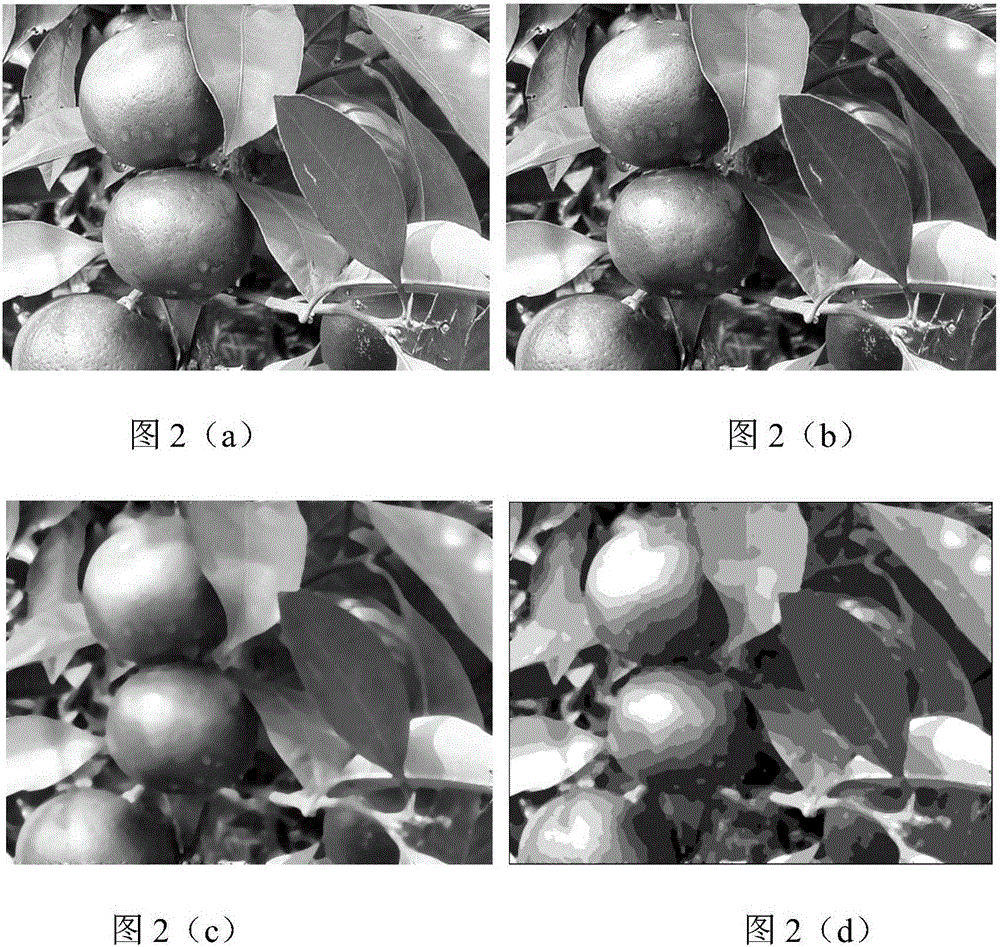 Green fruit recognition method