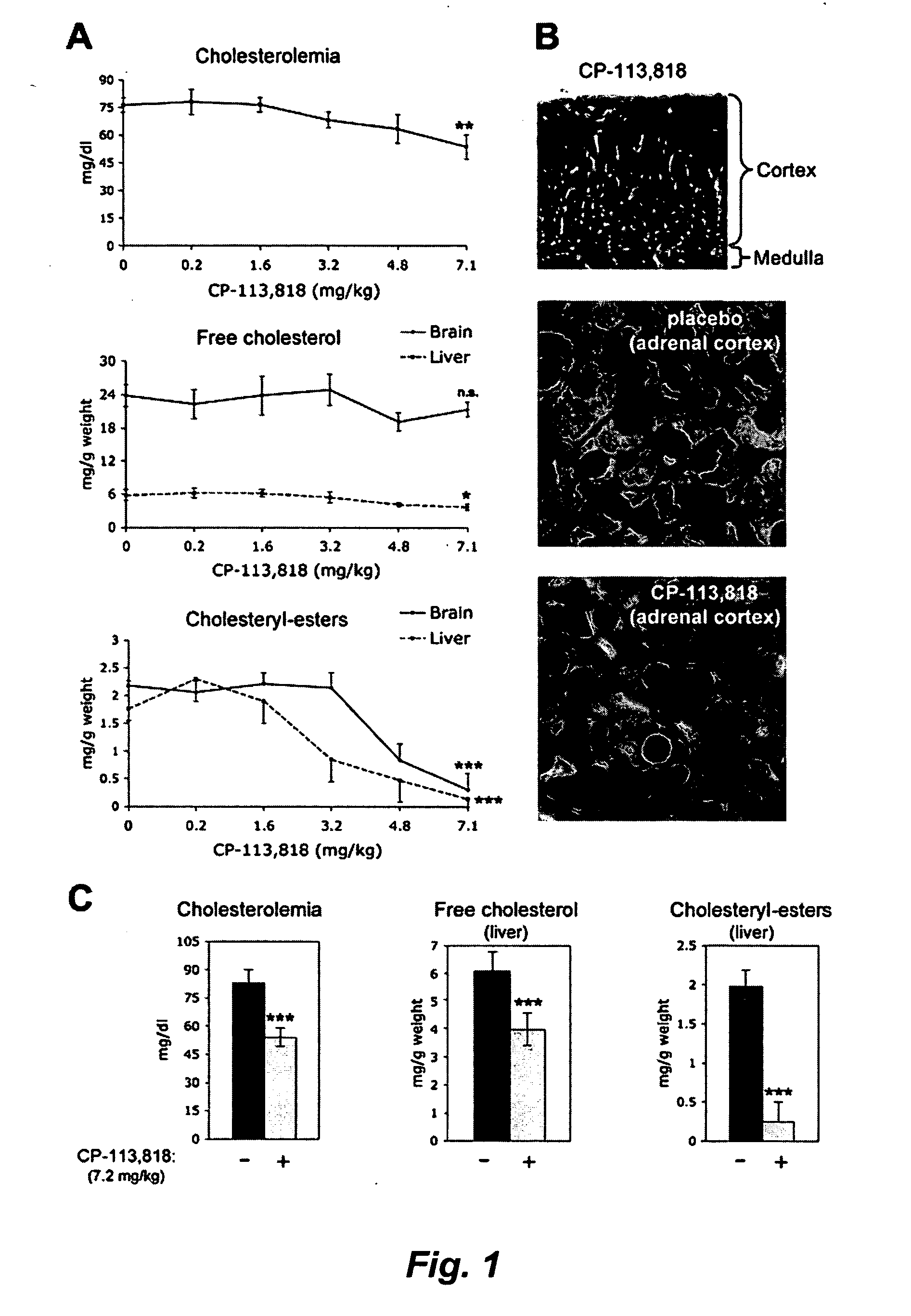 Methods for treating ACAT-related diseases