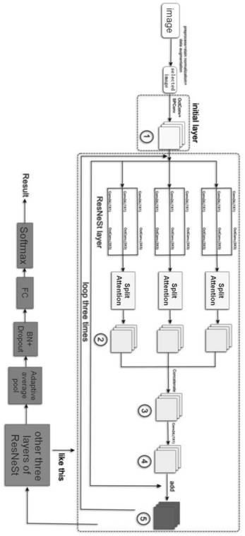 Diabetic retinopathy image classification method based on improved ResNeSt convolutional neural network model