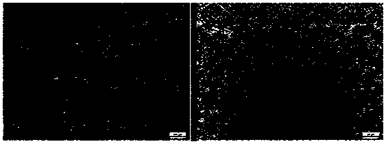 Heat treatment method for improving comprehensive performance of alloy plate