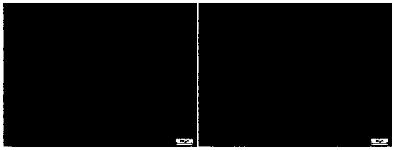 Heat treatment method for improving comprehensive performance of alloy plate