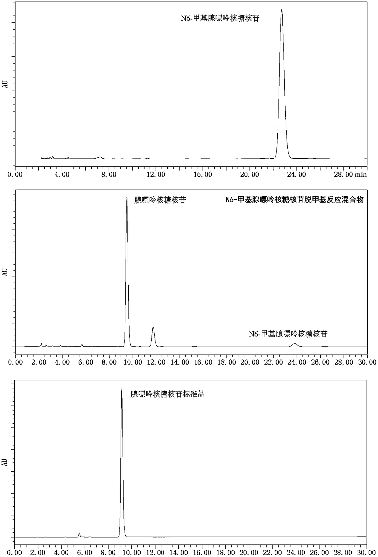 Photochemical demethylation of n6-methyladenine