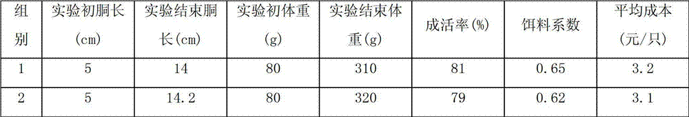 Artificial compound feed formula for sepia esculenta cultivation and feed