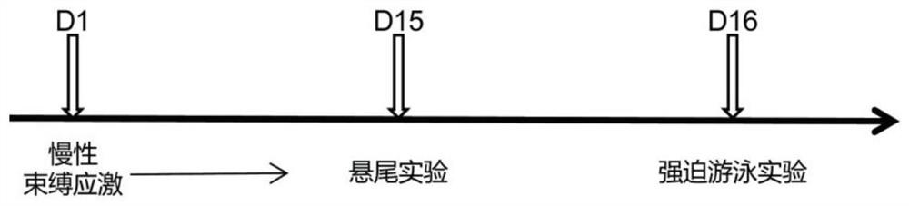 Application of miR-129 in preparation of product for treating depression