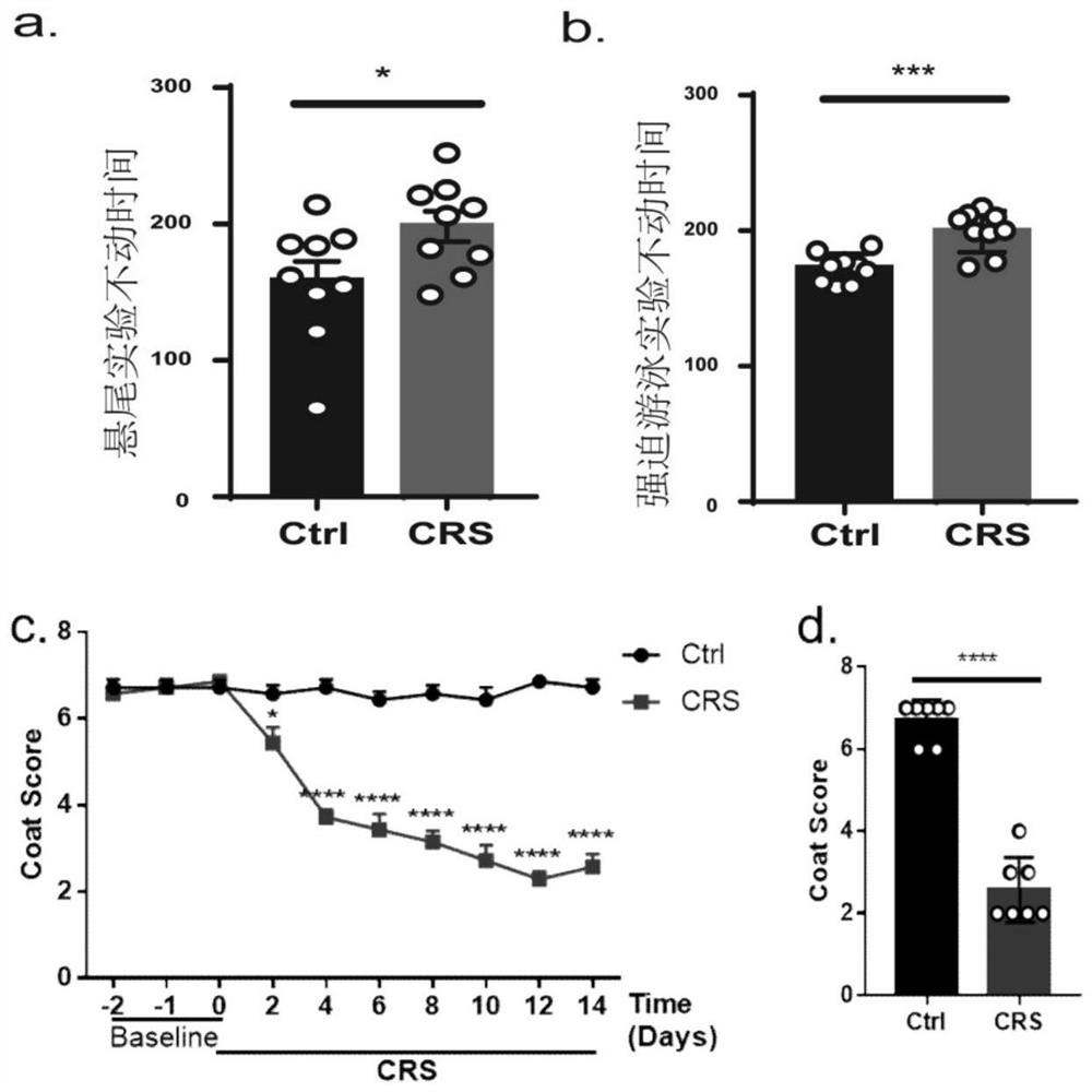 Application of miR-129 in preparation of product for treating depression