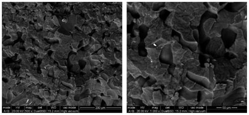 Polybutylene succinate ionomer with low molecular weight and high melt viscosity and its preparation and microcellular foaming material based on it and its application