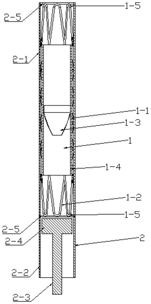 Device for treating patent ductus arteriosus severe pulmonary hypertension, and use method of device