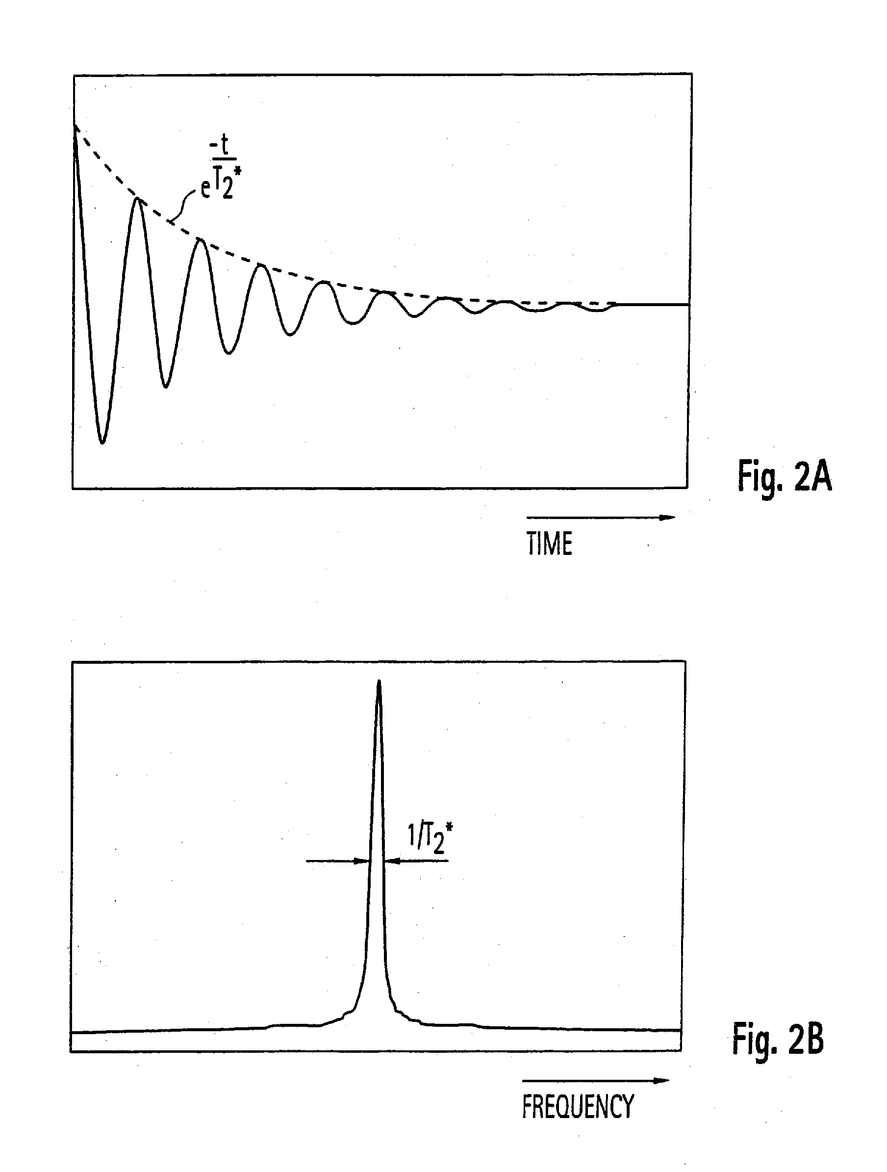 Method and apparatus for polarization transfer in the detection enhancement of mr spectroscopy