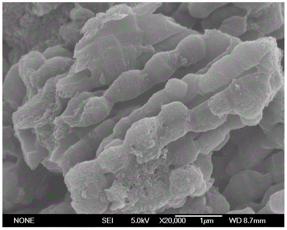 Nitrogen-hybridized mesoporous carbon-based biosensor, preparation method and application