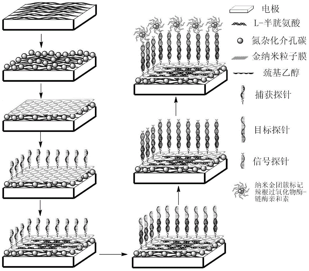 Nitrogen-hybridized mesoporous carbon-based biosensor, preparation method and application