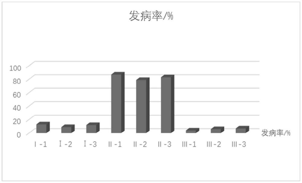 Photosynthetic bacterial strain, biocontrol agent, biocontrol fermentation liquid, preparation method and application thereof