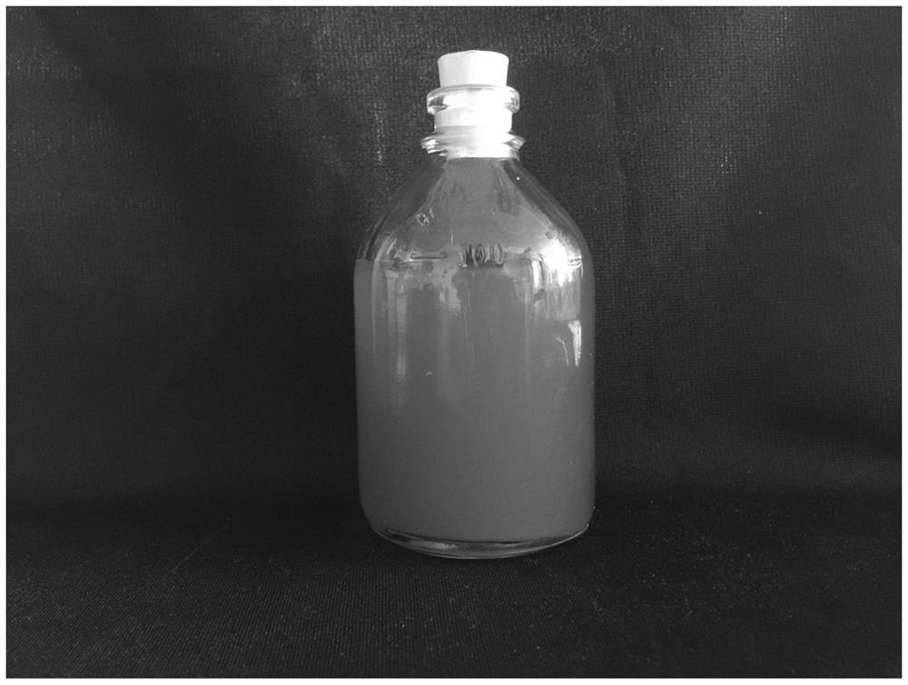 Photosynthetic bacterial strain, biocontrol agent, biocontrol fermentation liquid, preparation method and application thereof