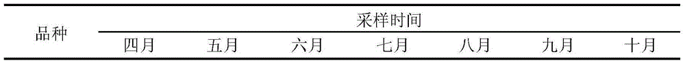 Preparation method for natural high-Vc ultrafine persimmon leaf tea powder