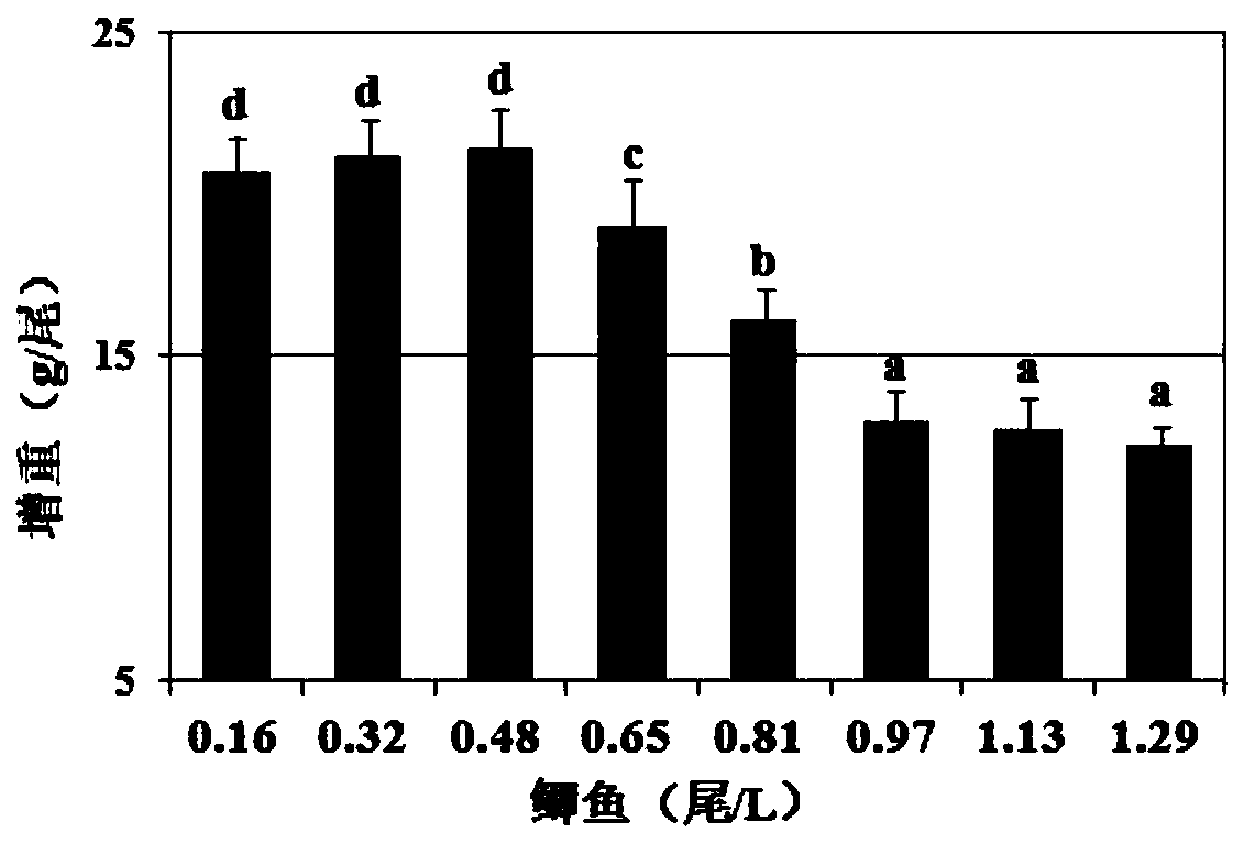 Application of angelica sinensis extract in preparation of anti-stress agent used for freshwater fish and preparation method of angelica sinensis extract