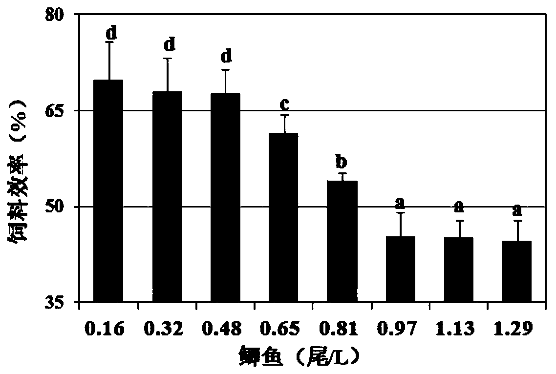 Application of angelica sinensis extract in preparation of anti-stress agent used for freshwater fish and preparation method of angelica sinensis extract