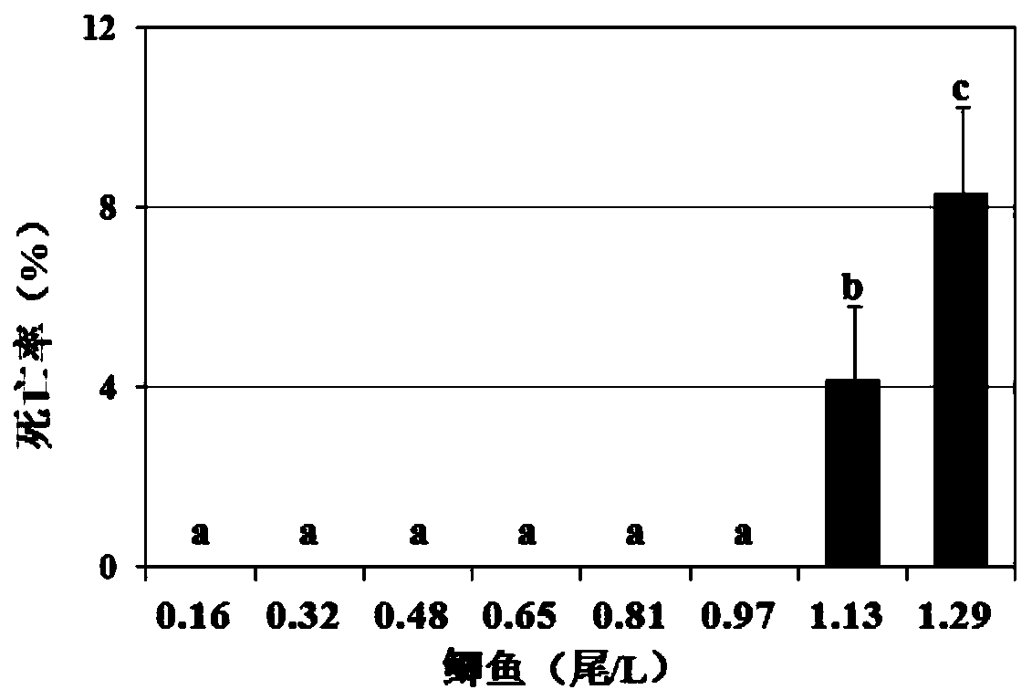 Application of angelica sinensis extract in preparation of anti-stress agent used for freshwater fish and preparation method of angelica sinensis extract