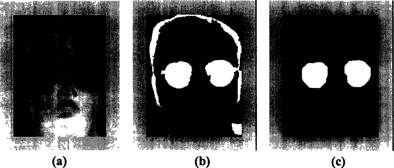 Infrared human face spectacle disturbance elimination method based on regional characteristic element compensation