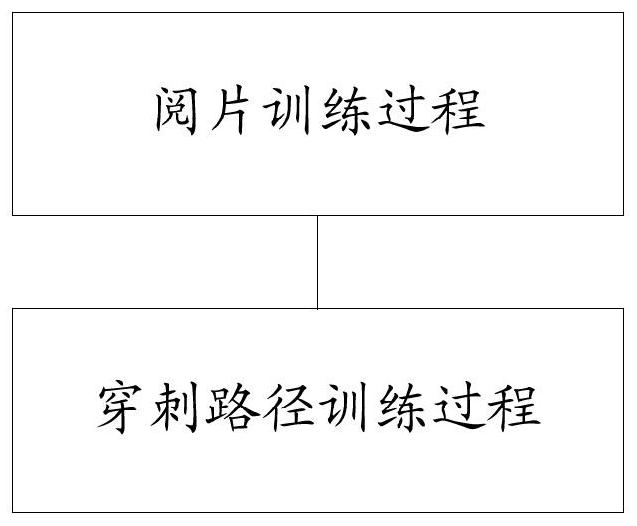 Virtual lateral ventricle puncture auxiliary training method, device, equipment and medium