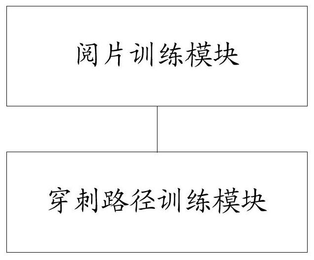 Virtual lateral ventricle puncture auxiliary training method, device, equipment and medium