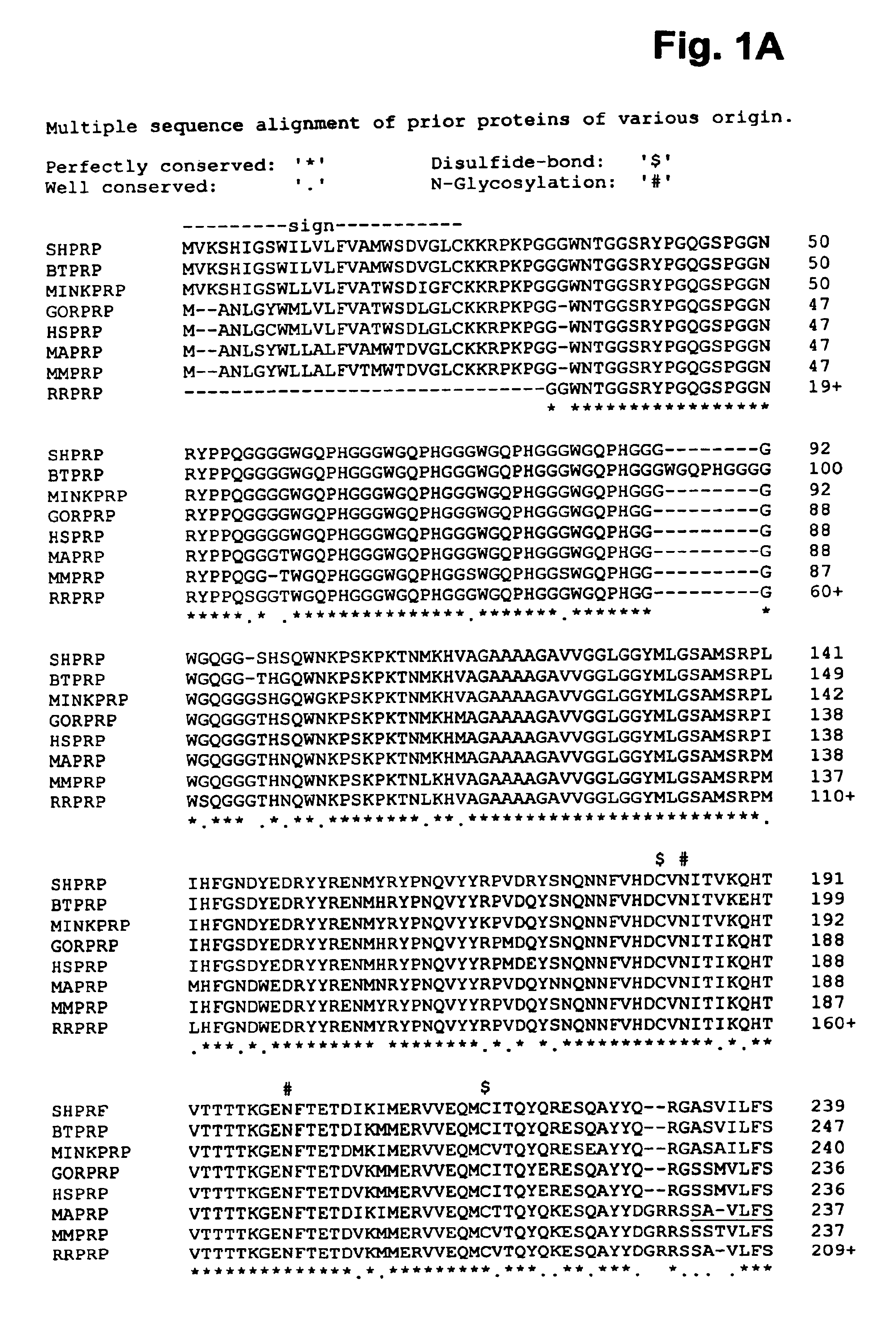 Method for the detection of prion diseases