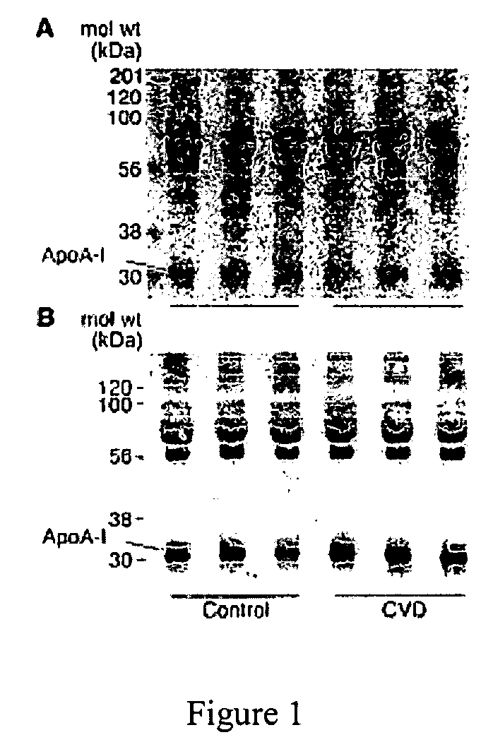 Therapeutic agents and methods for cardiovascular disease