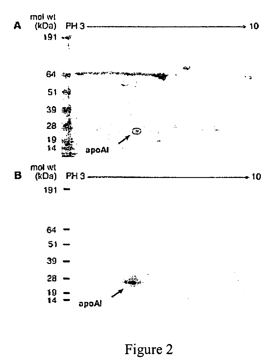 Therapeutic agents and methods for cardiovascular disease