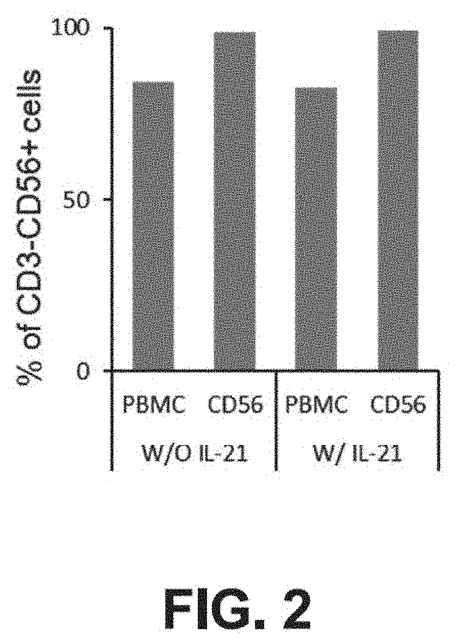 Method of producing natural killer cells and composition for treating cancer
