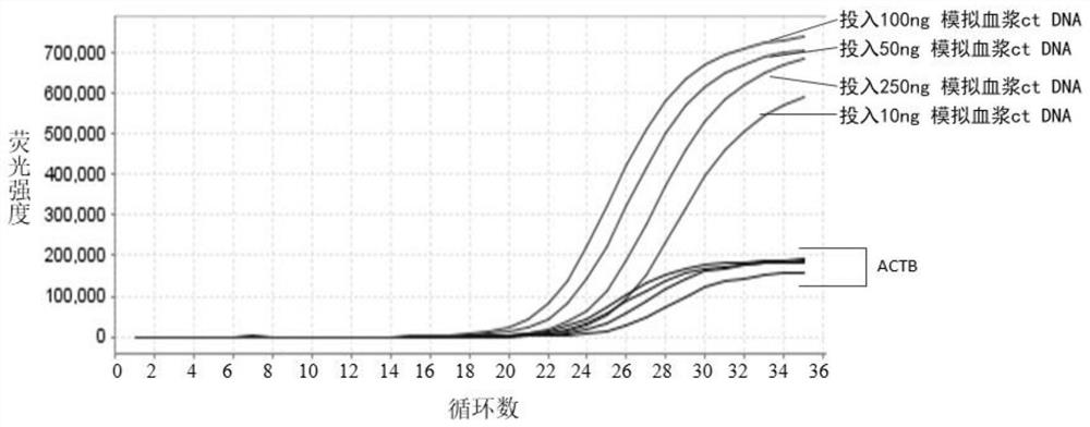 Primer probe combination for methylation detection of cervical cancer related genes and application of primer probe combination