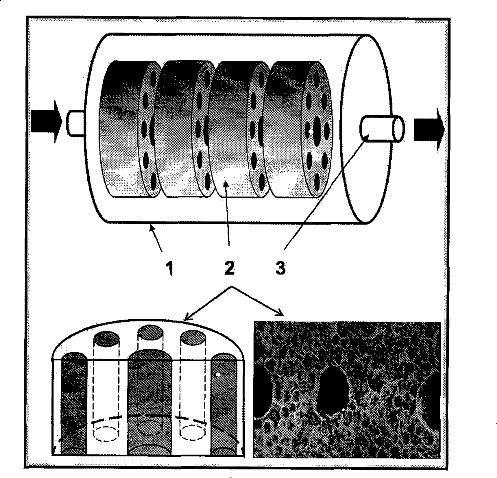 Implantation type artificial hepar