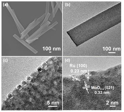 Bifunctional composite material with ultra-small Ru nanoclusters loaded on MoO3-x nanobelts and preparation method and application of bifunctional composite material