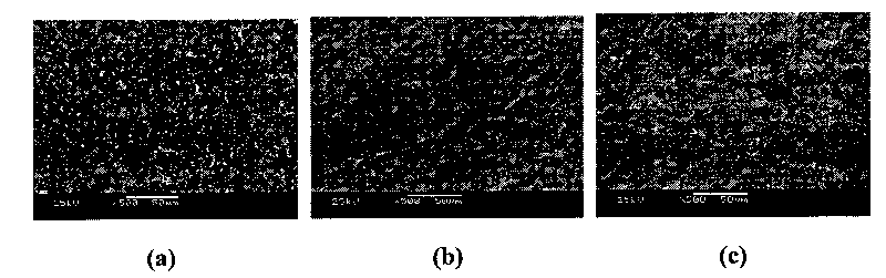 Method for fixing biological molecules on polymer microporous membrane surface