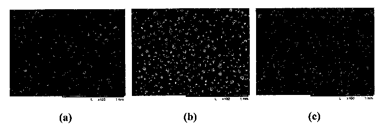 Method for fixing biological molecules on polymer microporous membrane surface