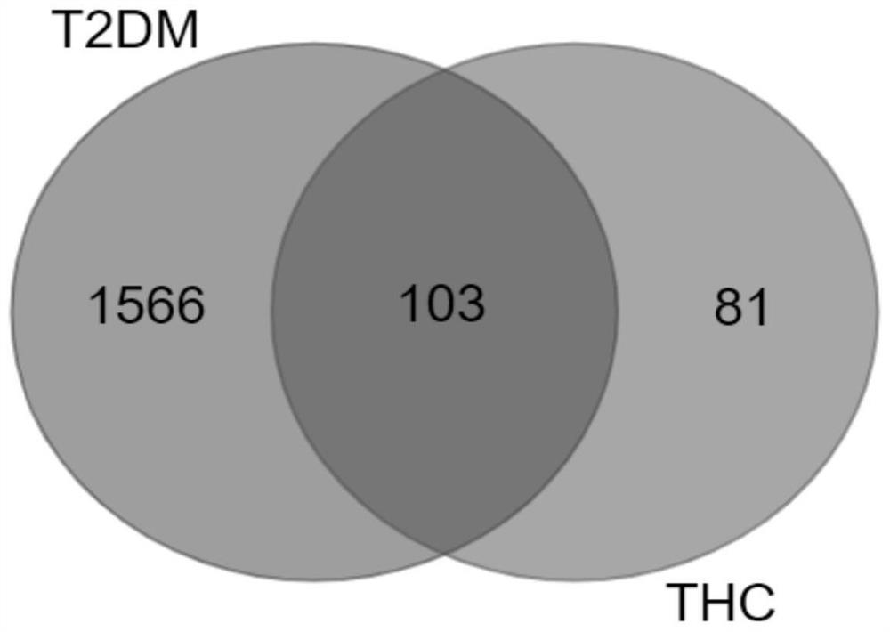 Application of tetrahydrocurcumin in preparation of medicine for preventing and/or treating type 2 diabetes mellitus complicated with non-alcoholic fatty liver