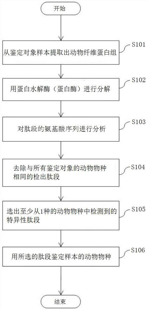 Animal species identification method