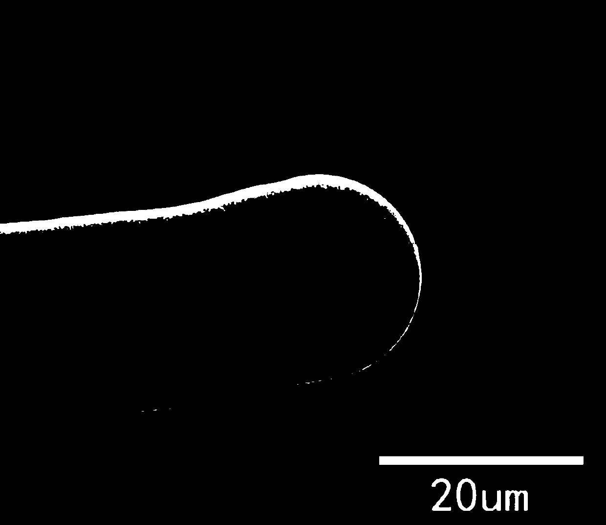 A kind of graphite fiber and preparation method thereof