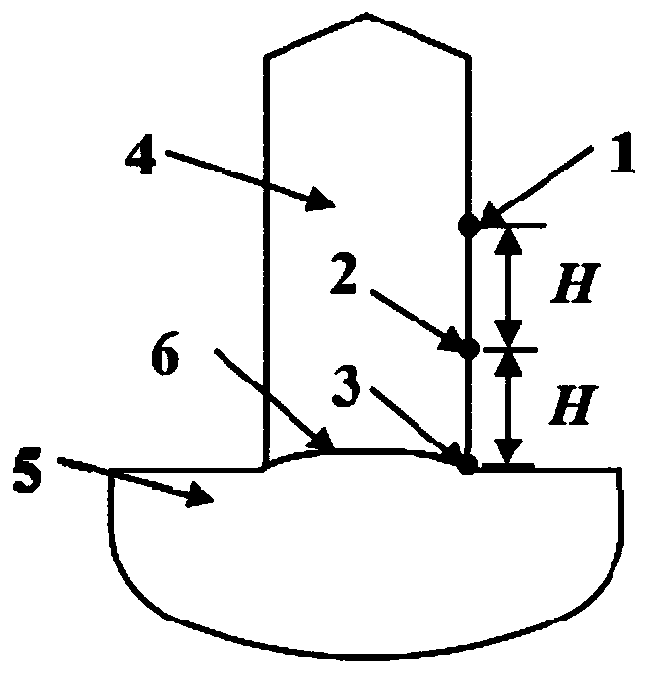 A Method for On-Line Monitoring of the Shape of the Crystal Growth Interface in a Czochralski Single Crystal Furnace