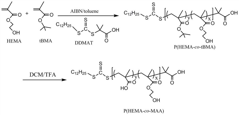 PH-responsive Amphiphilic Copolymer And Preparation Method Thereof ...