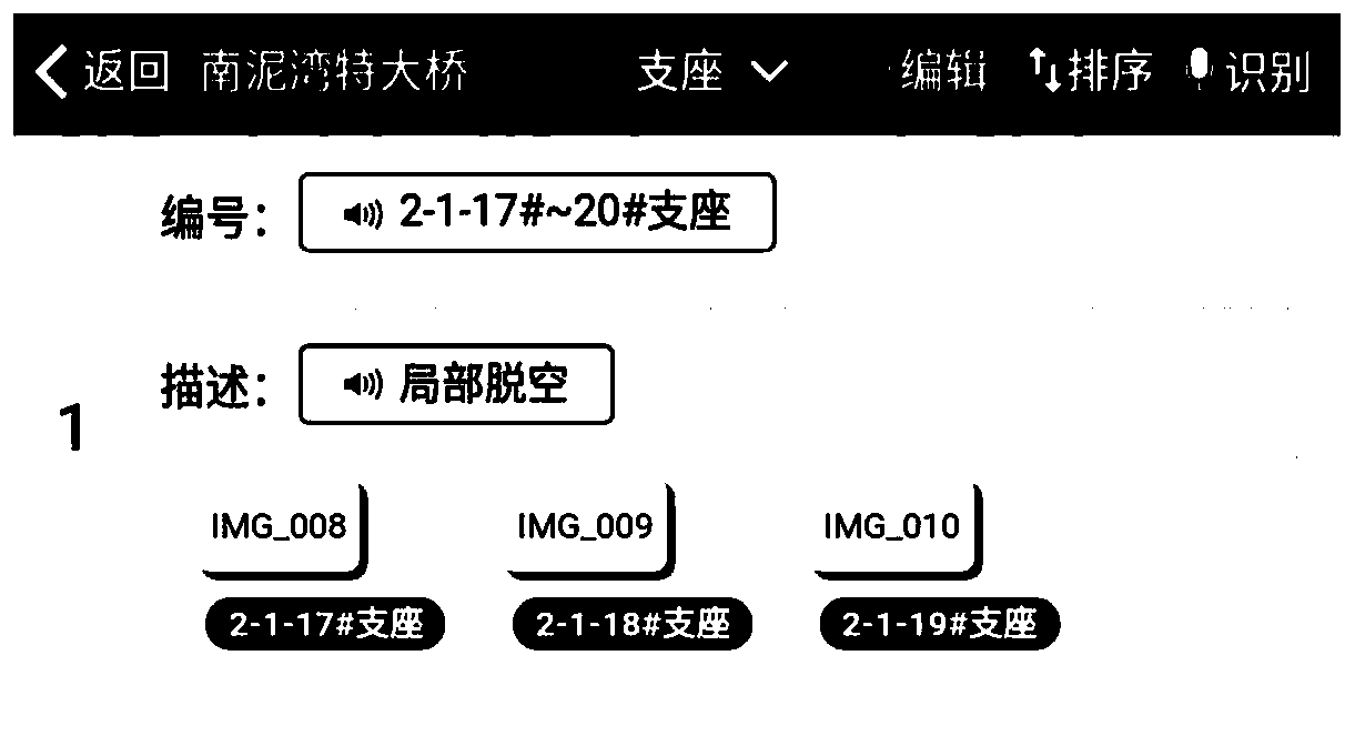 Bridge detection record processing method and device