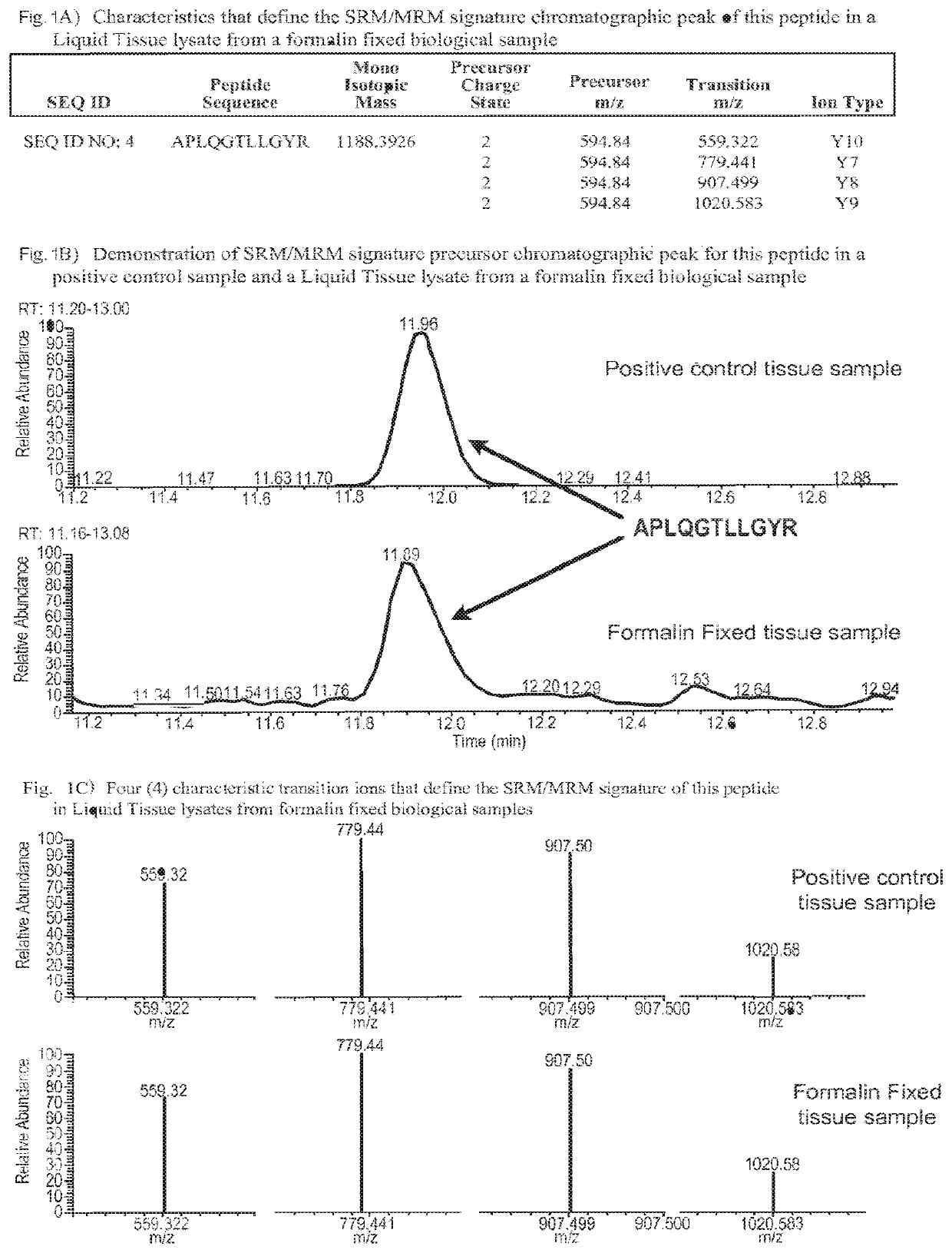 SRM/MRM assay for the tyrosine-protein kinase receptor UFO(AXL) protein