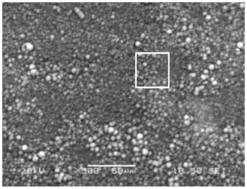 Method for preparing DLC protective coating on surface of magnesium alloy