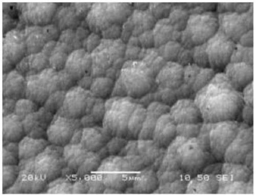 Method for preparing DLC protective coating on surface of magnesium alloy