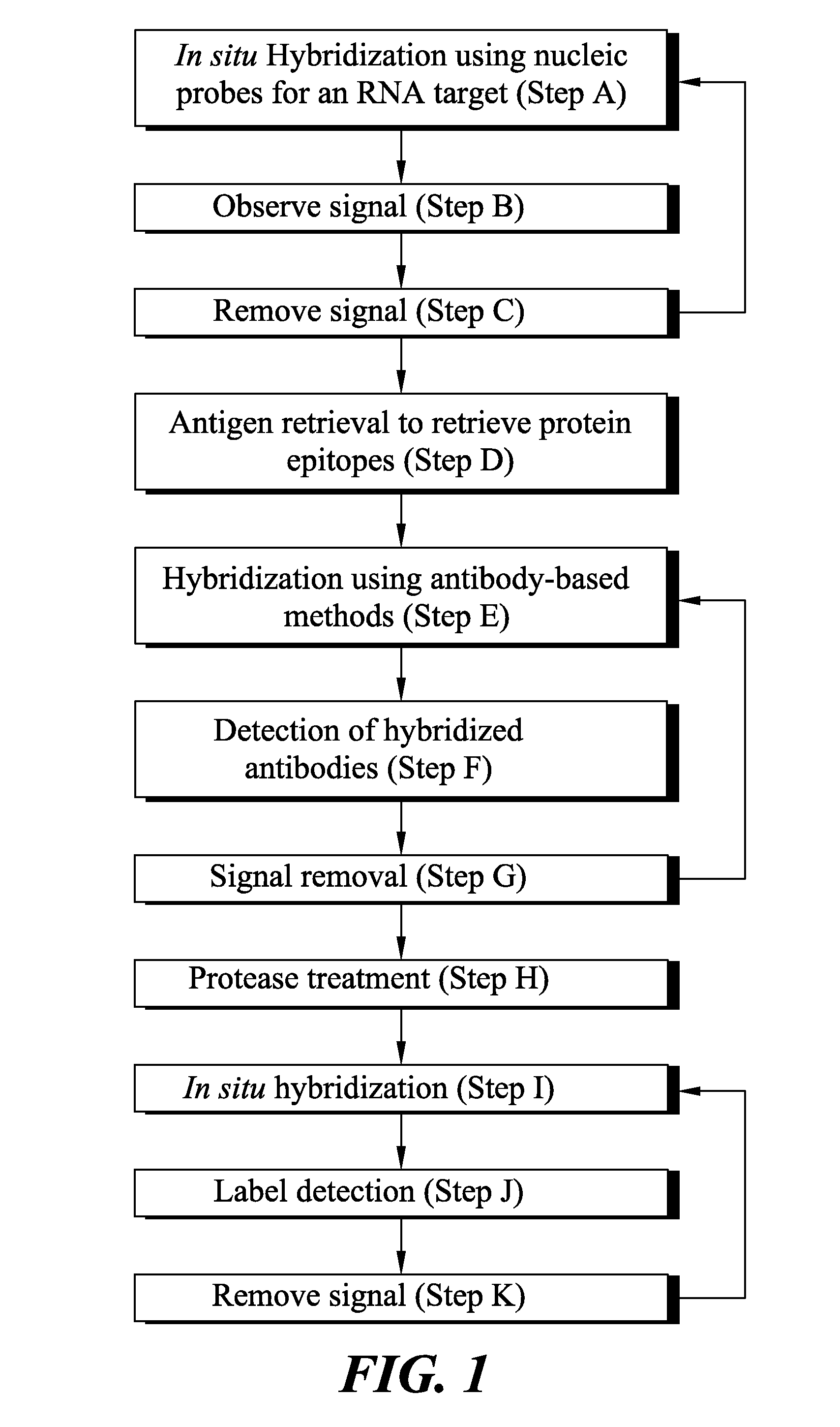 Methods of detecting dna, RNA and protein in biological samples
