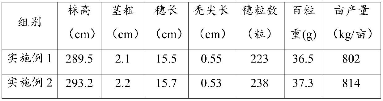 Nanometer plant photosynthesis promoter and its preparation method and application